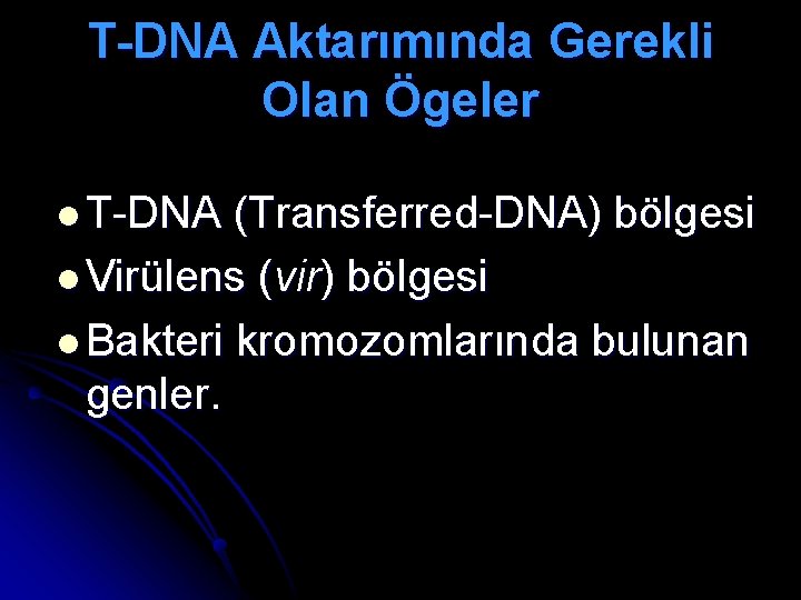 T-DNA Aktarımında Gerekli Olan Ögeler l T-DNA (Transferred-DNA) bölgesi l Virülens (vir) bölgesi l