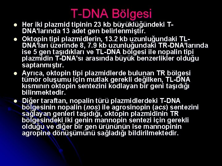 T-DNA Bölgesi l l Her iki plazmid tipinin 23 kb büyüklüğündeki TDNA'larında 13 adet