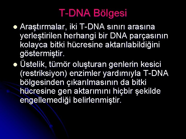 T-DNA Bölgesi Araştırmalar, iki T-DNA sınırı arasına yerleştirilen herhangi bir DNA parçasının kolayca bitki