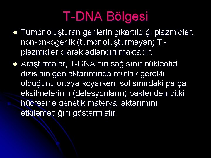 T-DNA Bölgesi l l Tümör oluşturan genlerin çıkartıldığı plazmidler, non-onkogenik (tümör oluşturmayan) Tiplazmidler olarak