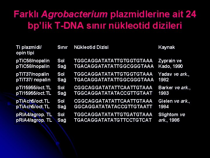 Farklı Agrobacterium plazmidlerine ait 24 bp’lik T-DNA sınır nükleotid dizileri Ti plazmidi/ opin tipi