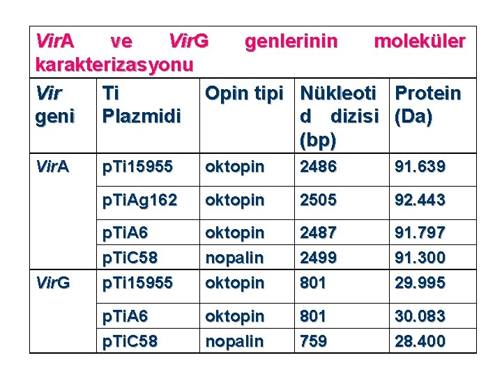 Vir. A ve Vir. G genlerinin moleküler karakterizasyonu Vir Ti Opin tipi Nükleoti Protein
