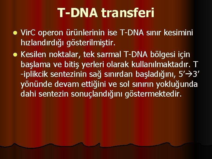 T-DNA transferi Vir. C operon ürünlerinin ise T-DNA sınır kesimini hızlandırdığı gösterilmiştir. l Kesilen