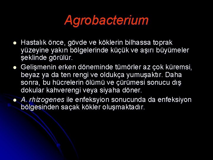 Agrobacterium l l l Hastalık önce, gövde ve köklerin bilhassa toprak yüzeyine yakın bölgelerinde