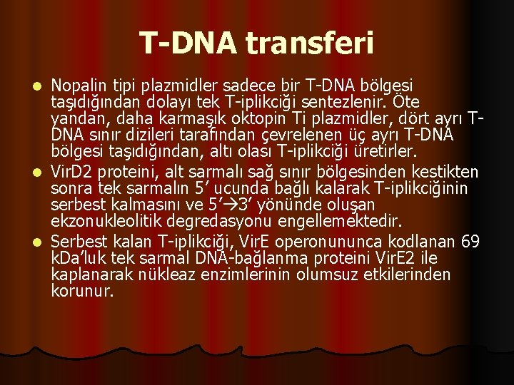 T-DNA transferi Nopalin tipi plazmidler sadece bir T-DNA bölgesi taşıdığından dolayı tek T-iplikciği sentezlenir.