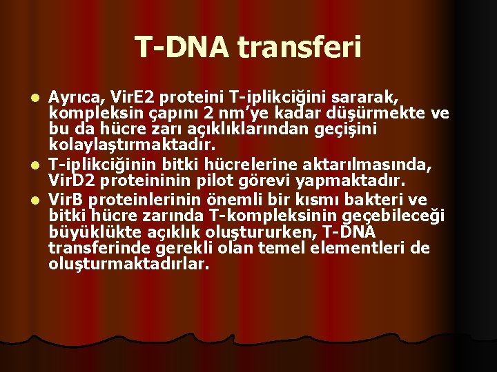 T-DNA transferi Ayrıca, Vir. E 2 proteini T-iplikciğini sararak, kompleksin çapını 2 nm’ye kadar