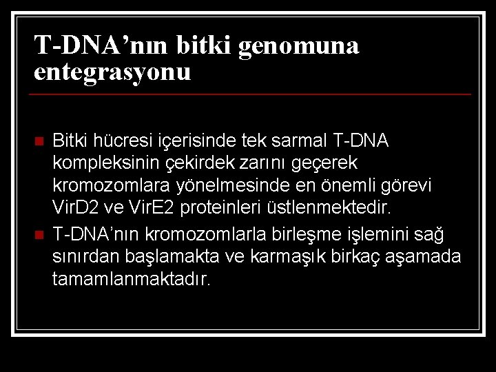 T-DNA’nın bitki genomuna entegrasyonu n n Bitki hücresi içerisinde tek sarmal T-DNA kompleksinin çekirdek
