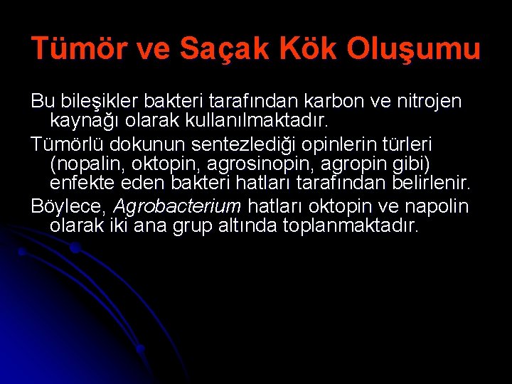 Tümör ve Saçak Kök Oluşumu Bu bileşikler bakteri tarafından karbon ve nitrojen kaynağı olarak