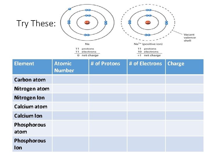 Try These: Element Carbon atom Nitrogen Ion Calcium atom Calcium Ion Phosphorous atom Phosphorous