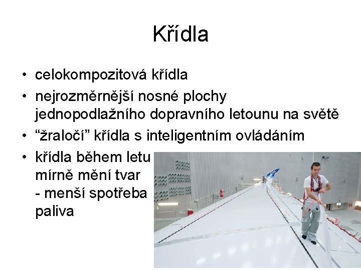 Křídla • celokompozitová křídla • nejrozměrnější nosné plochy jednopodlažního dopravního letounu na světě •