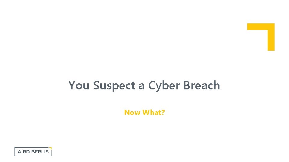 You Suspect a Cyber Breach Now What? 