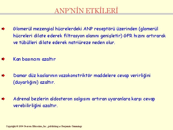 ANP’NİN ETKİLERİ Glomerül mezengial hücrelerdeki ANP reseptörü üzerinden (glomerül hücreleri dilate ederek filtrasyon alanını