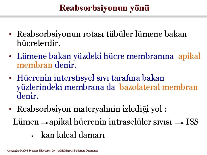 Reabsorbsiyonun yönü • Reabsorbsiyonun rotası tübüler lümene bakan hücrelerdir. • Lümene bakan yüzdeki hücre