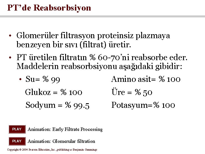 PT’de Reabsorbsiyon • Glomerüler filtrasyon proteinsiz plazmaya benzeyen bir sıvı (filtrat) üretir. • PT