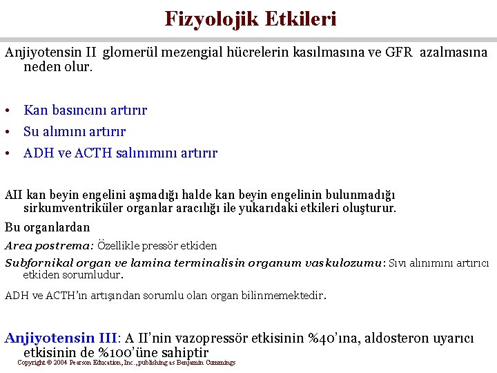 Fizyolojik Etkileri Anjiyotensin II glomerül mezengial hücrelerin kasılmasına ve GFR azalmasına neden olur. •