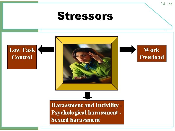 14 - 22 Stressors Low Task Control Work Overload Harassment and Incivility Psychological harassment