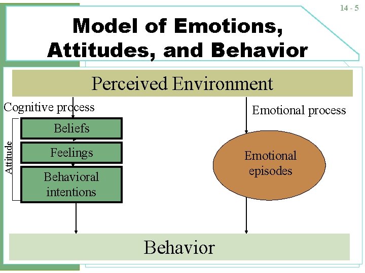 Model of Emotions, Attitudes, and Behavior 14 - 5 Perceived Environment Cognitive process Emotional
