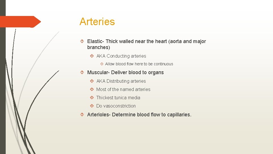 Arteries Elastic- Thick walled near the heart (aorta and major branches) AKA Conducting arteries