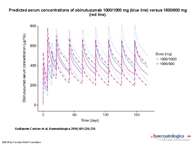 Predicted serum concentrations of obinutuzumab 1000/1000 mg (blue line) versus 1600/800 mg (red line).
