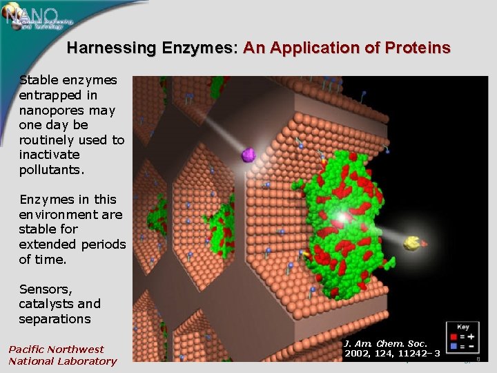 Harnessing Enzymes: An Application of Proteins Stable enzymes entrapped in nanopores may one day