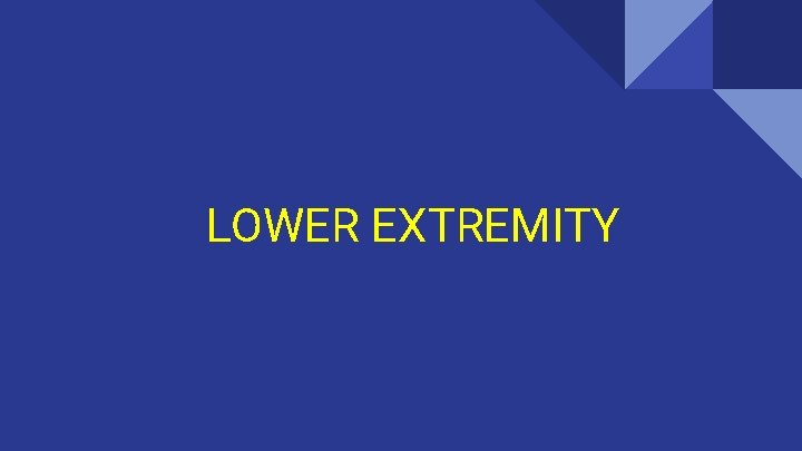 LOWER EXTREMITY 