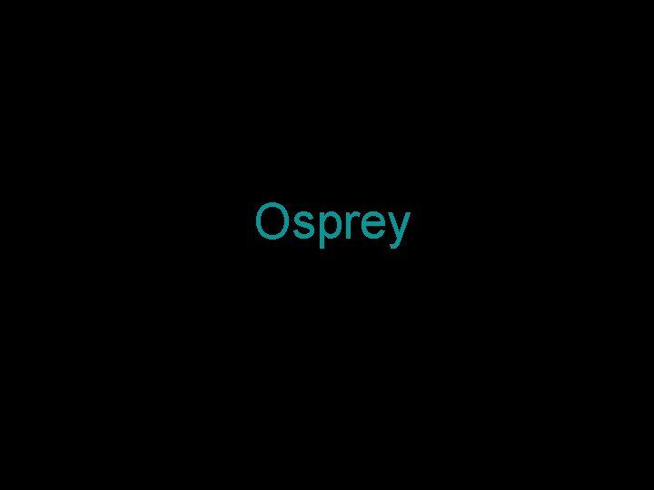Osprey 