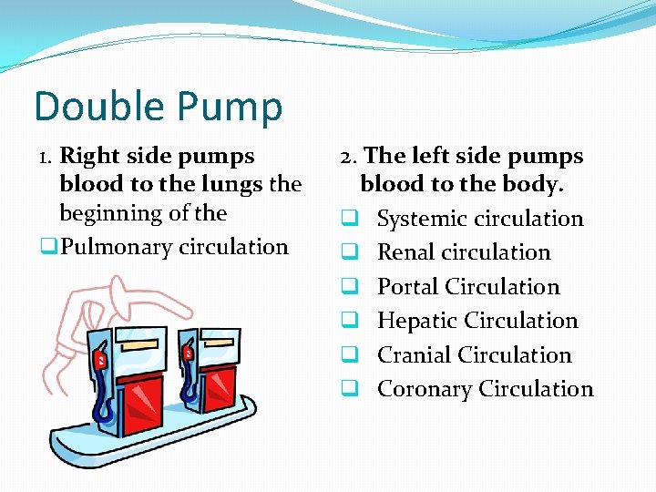 Double Pump 1. Right side pumps blood to the lungs the beginning of the