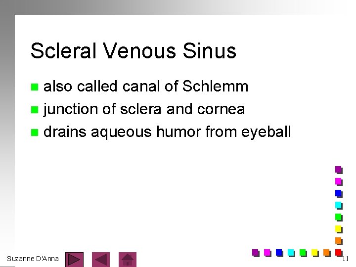 Scleral Venous Sinus also called canal of Schlemm n junction of sclera and cornea