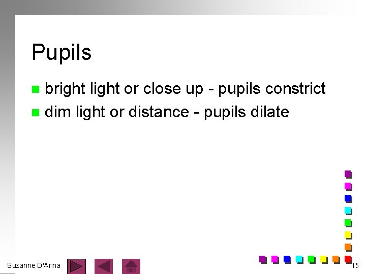 Pupils bright light or close up - pupils constrict n dim light or distance