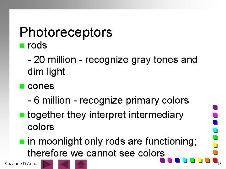 Photoreceptors rods - 20 million - recognize gray tones and dim light n cones