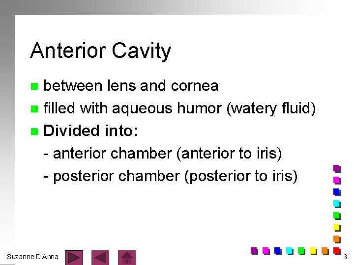 Anterior Cavity between lens and cornea n filled with aqueous humor (watery fluid) n