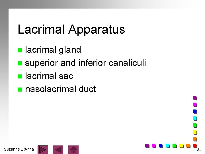 Lacrimal Apparatus lacrimal gland n superior and inferior canaliculi n lacrimal sac n nasolacrimal