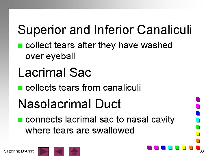 Superior and Inferior Canaliculi n collect tears after they have washed over eyeball Lacrimal