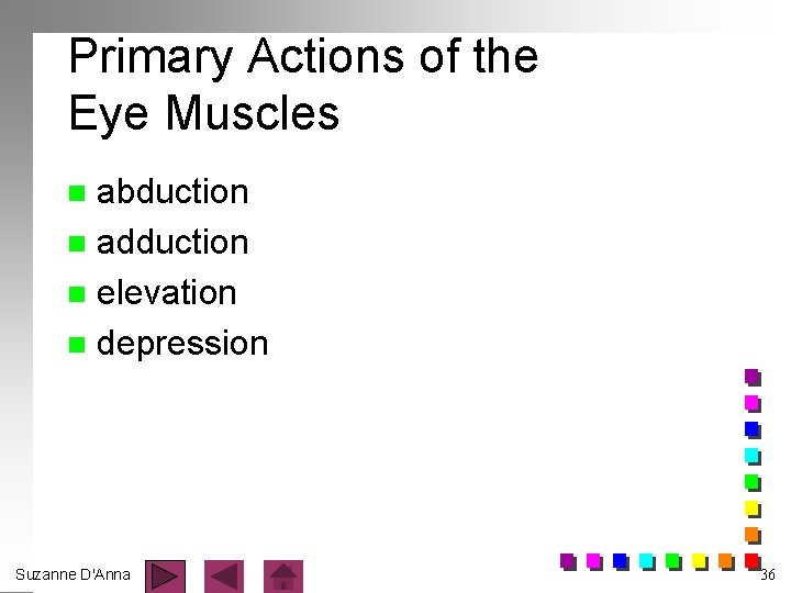 Primary Actions of the Eye Muscles abduction n adduction n elevation n depression n