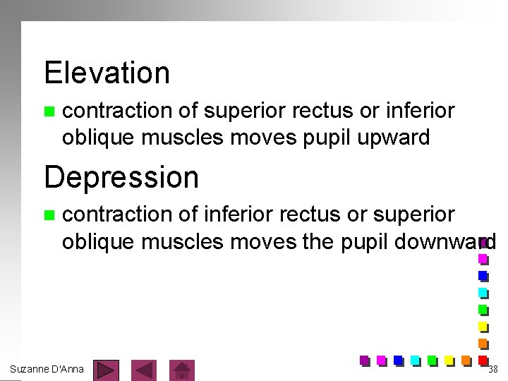 Elevation n contraction of superior rectus or inferior oblique muscles moves pupil upward Depression