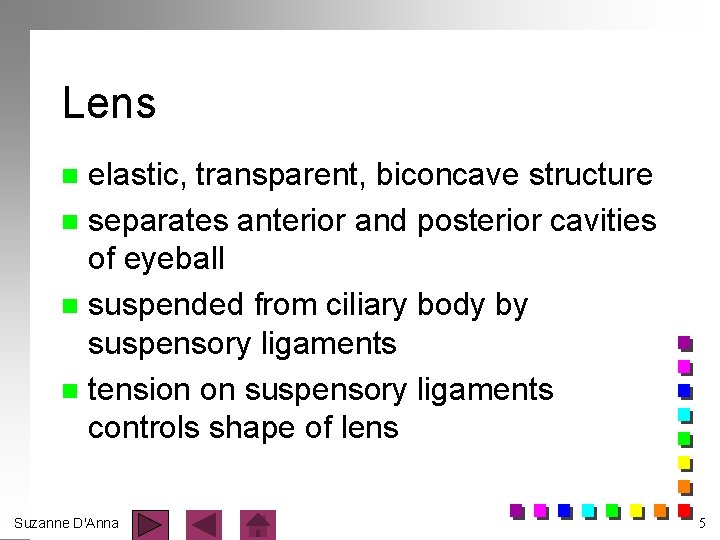 Lens elastic, transparent, biconcave structure n separates anterior and posterior cavities of eyeball n