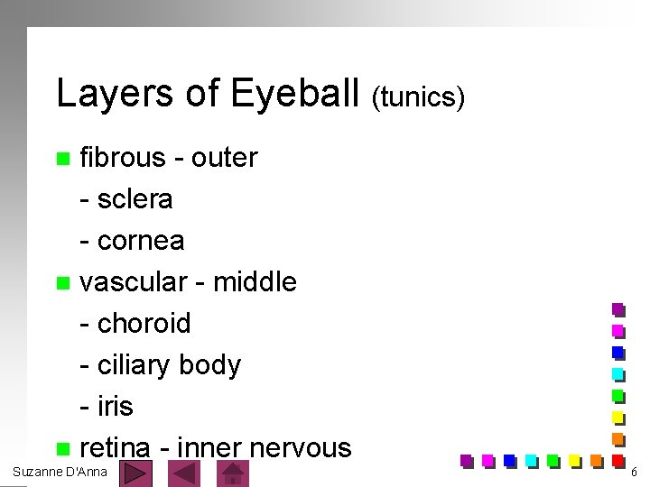Layers of Eyeball (tunics) fibrous - outer - sclera - cornea n vascular -