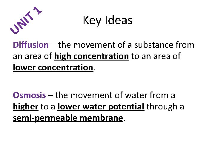 1 T I N U Key Ideas Diffusion – the movement of a substance