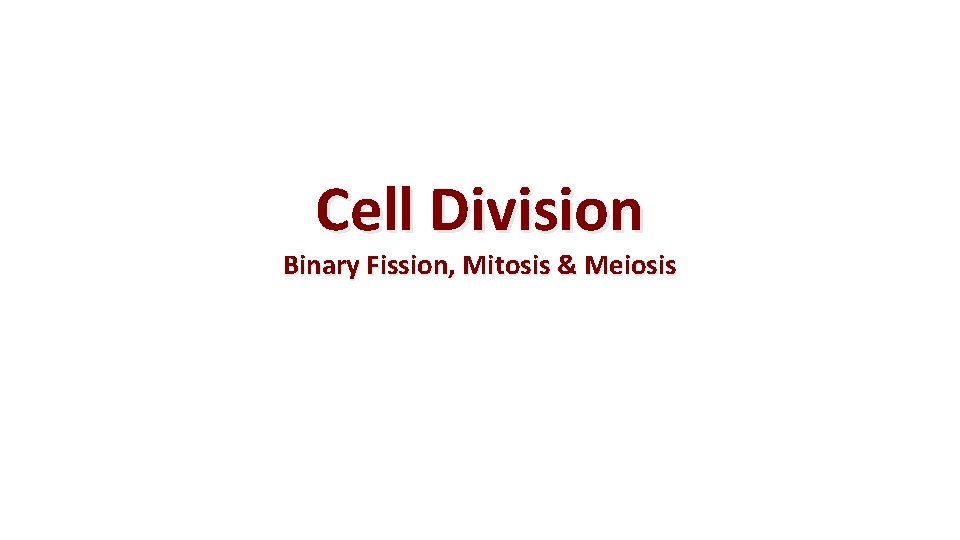 Cell Division Binary Fission, Mitosis & Meiosis 