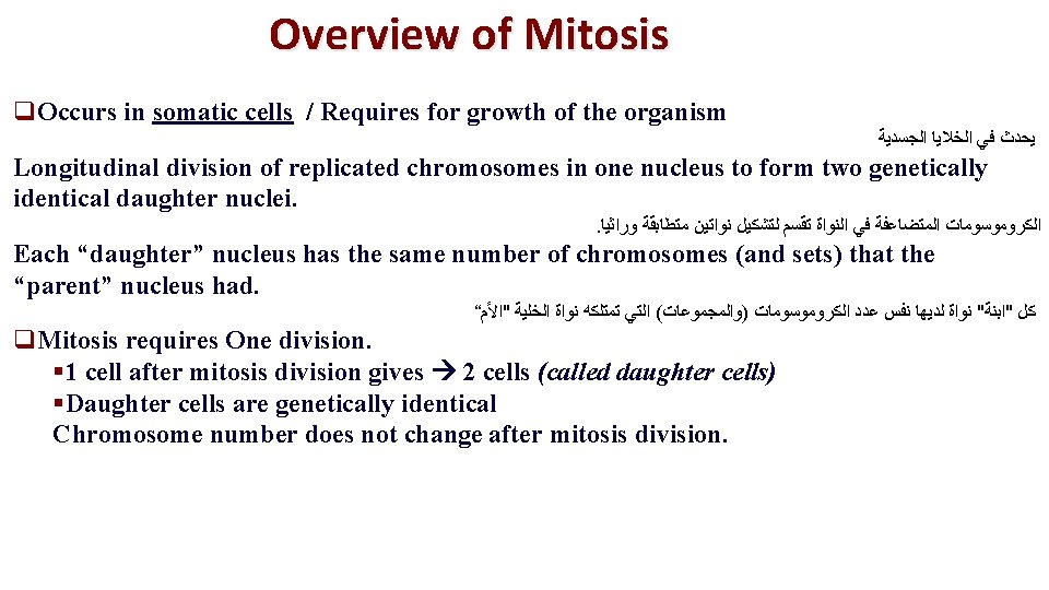 Overview of Mitosis q. Occurs in somatic cells / Requires for growth of the