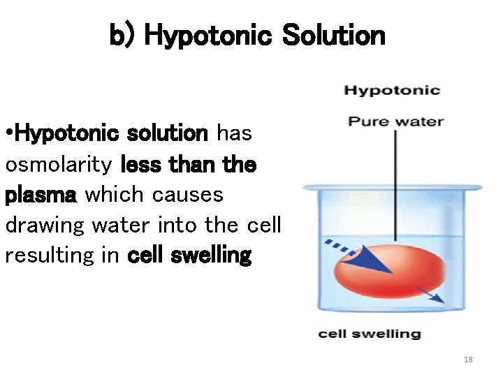 b) Hypotonic Solution • Hypotonic solution has osmolarity less than the plasma which causes