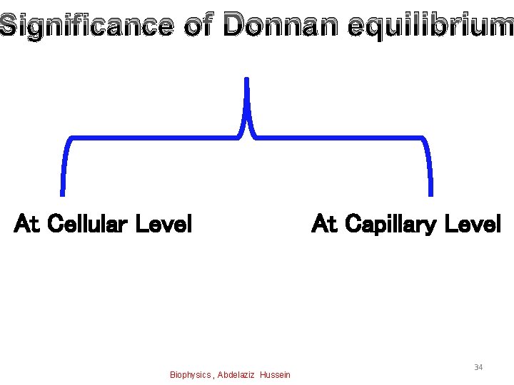 Significance of Donnan equilibrium At Cellular Level Biophysics , Abdelaziz Hussein At Capillary Level