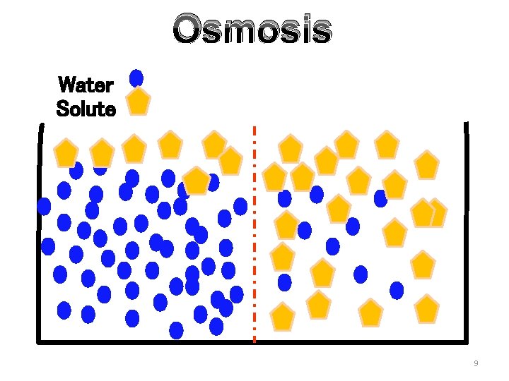 Osmosis Water Solute 9 