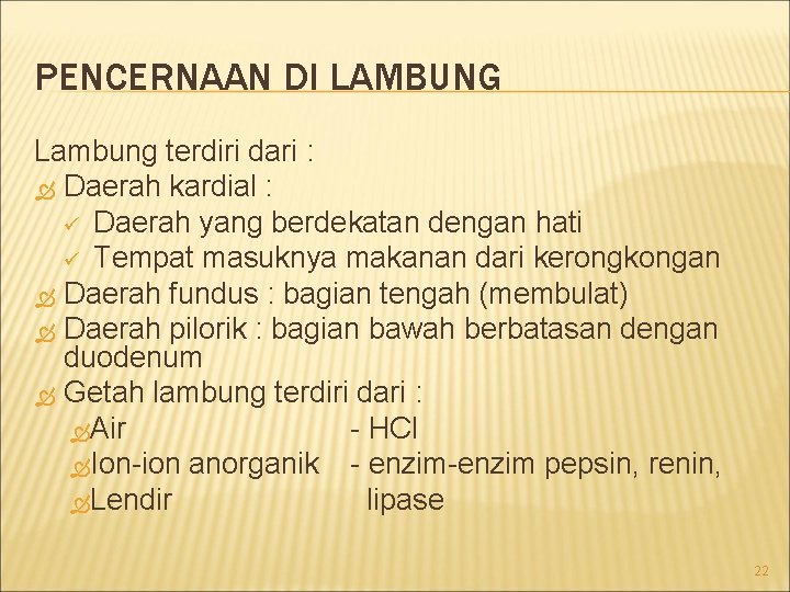 PENCERNAAN DI LAMBUNG Lambung terdiri dari : Daerah kardial : ü Daerah yang berdekatan