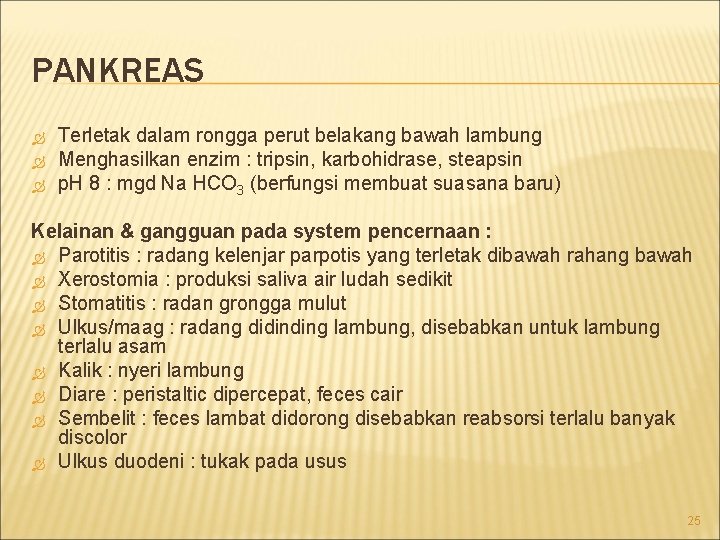 PANKREAS Terletak dalam rongga perut belakang bawah lambung Menghasilkan enzim : tripsin, karbohidrase, steapsin