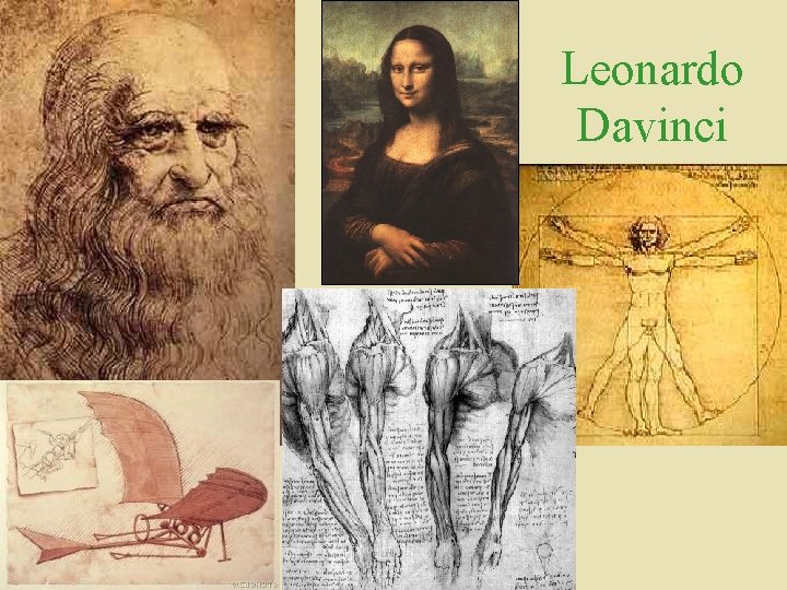 Leonardo Davinci 