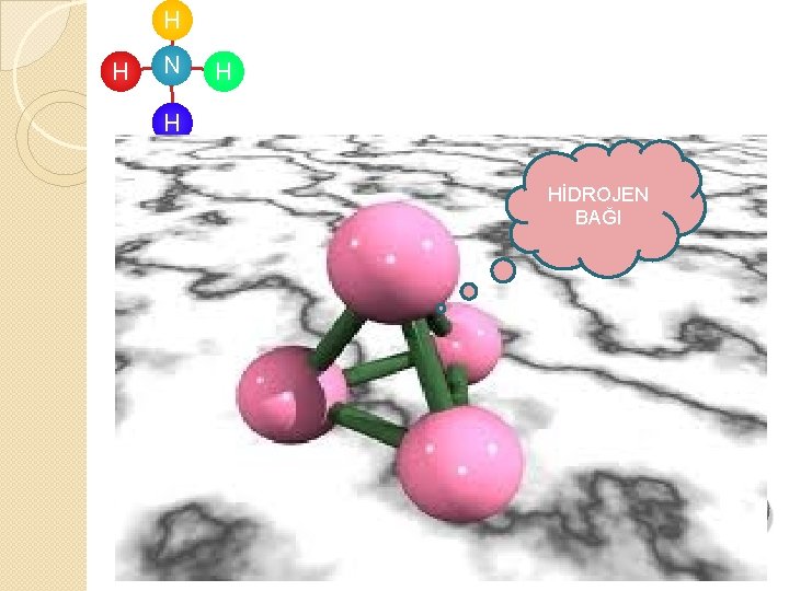 H H N H H HİDROJEN BAĞI 