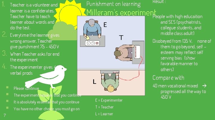 1. 2. 3. 4. § § 7 Teacher is a volunteer and learner is