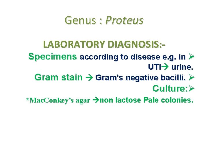Genus : Proteus LABORATORY DIAGNOSIS: Specimens according to disease e. g. in Ø UTI