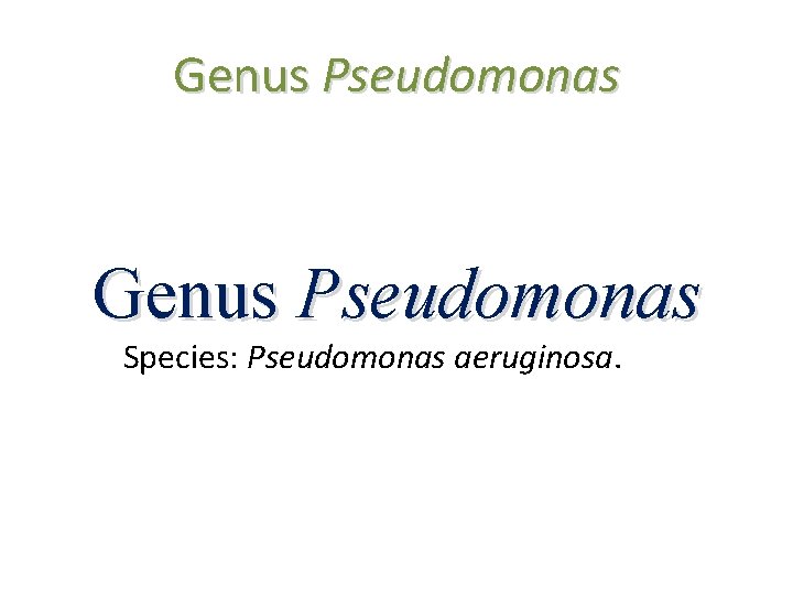 Genus Pseudomonas Species: Pseudomonas aeruginosa. 